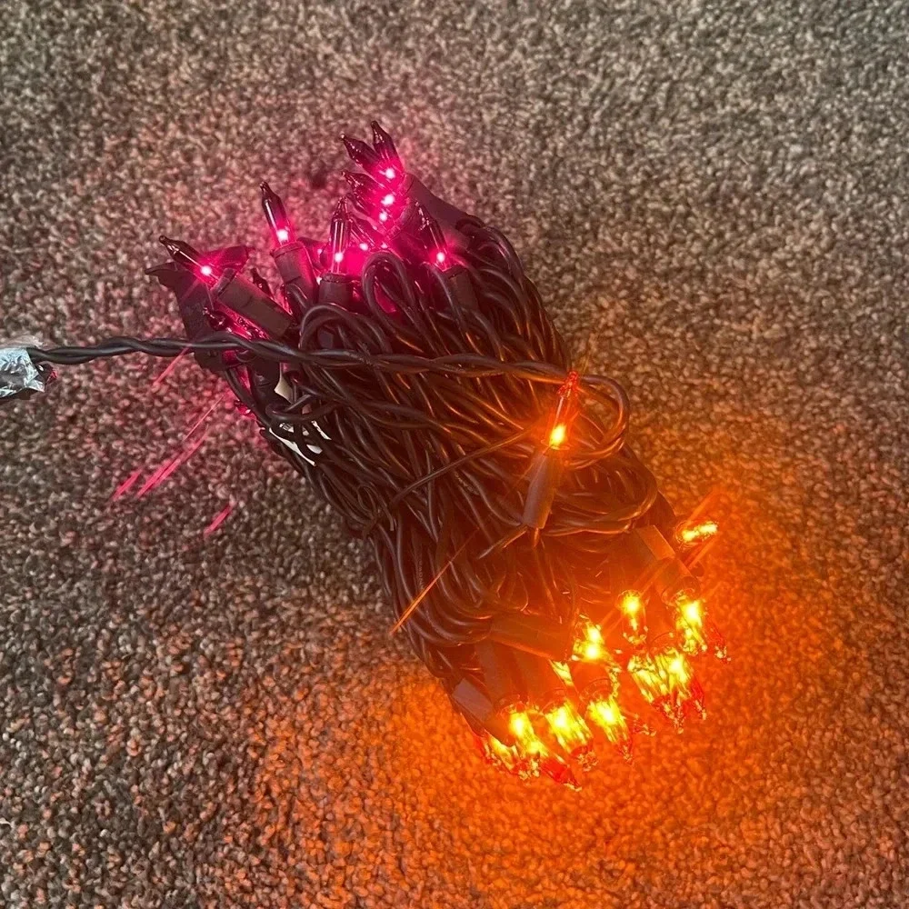 NIB! Pink and orange mini string lights
